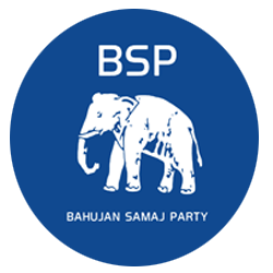 bsp logo